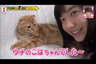 こはるに癒され過ぎる 芦田愛菜