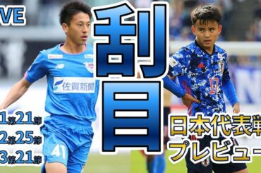 【日本代表カメルーン戦＆Jリーグ全試合レビュー！】J1第21節・J2第25節・J3第21節｜