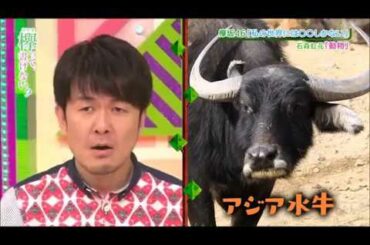 石森虹花「私の世界には『動物』しかない」【欅坂46】