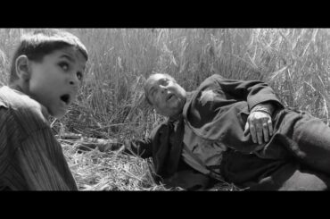 残酷すぎて途中退場者が続出した問題作…映画『異端の鳥』予告編