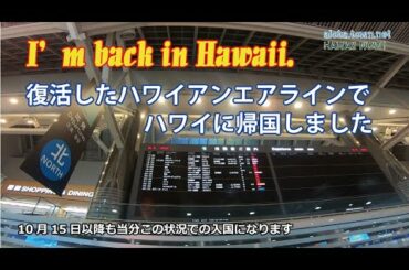 コロナ禍の中、日本からハワイに帰国しました。【I'm back in Hawaii.】