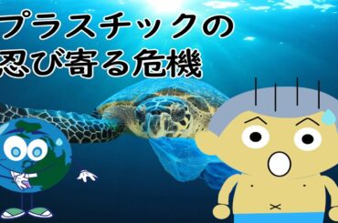 【環境問題】海洋プラスチックの影響は動物だけじゃない！