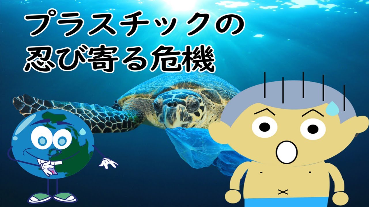 【環境問題】海洋プラスチックの影響は動物だけじゃない! 【環境問題】海洋プラスチックの影響は動物だけじゃない!
