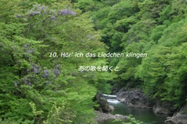 R. Schumann:  Dichterliebe　シューマン：歌曲集「詩人の恋」全曲
