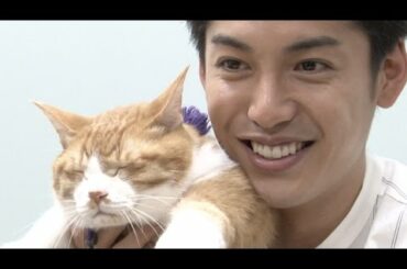 大野拓朗、名優デブ猫・金時を愛しすぎてメロメロ／映画『猫忍』インタビュー