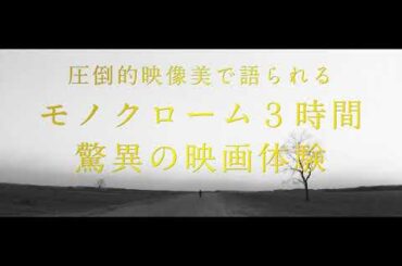 映画『異端の鳥』予告編｜10月9(金)TOHOシネマズ シャンテほか公開