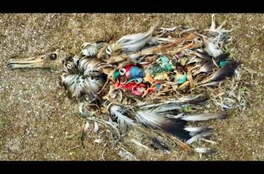 レオナルド・ディカプリオ製作総指揮の海洋プラスチック問題ドキュメンタリー映画『プラスチックの海』予告編