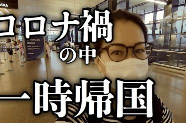 コロナ禍の中、一時帰国しました。空港での検査の様子 I had to go back to Japan in the middle of pandemic. (#80) コロナ禍の中、一時帰国しました。空港での検査の様子 I had to go back to Japan in the middle of pandemic. (#80)