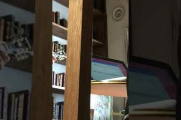 MV作りをしたなあ。携帯から出てきたから失くす前にアップしておきます。w