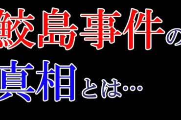 鮫島事件～2ちゃんねる怪事件の真相～