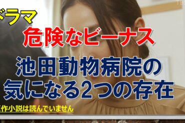 ドラマ【危険なビーナス】池田動物病院の気になる2つの存在【妻夫木聡、吉高由里子出演作】【原作 東野圭吾】