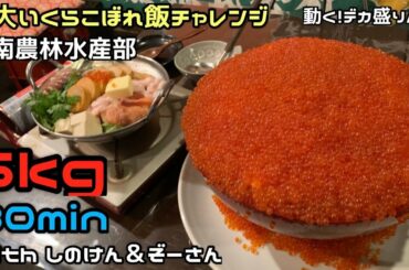 【チャレンジ】超豪華いくら丼＆通風鍋！！大食い3人で挑戦！！〜道南農林水産部さん〜【大食い】