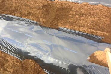 「今日もあなたと百姓天国！」～里芋栽培＠高畝黒マルチ一発土寄せなしとライクアニューヨークスタイル