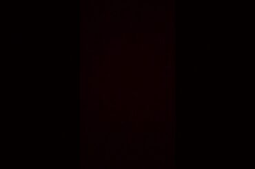 おらおらでひとりいぐも  22P?音読