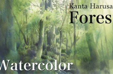 Watercolor demonstration   kanta harusaki  [Forest] 　春崎幹太　水彩画　森