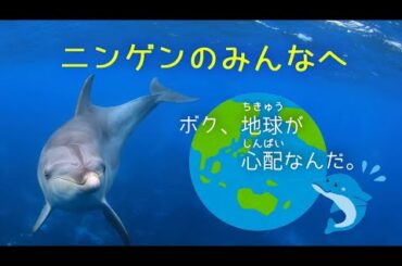 海洋プラスチック問題について、イルカくんが教えてくれるよ！【ニンゲンのみんなへ   - ボク、地球が心配なんだ - 】