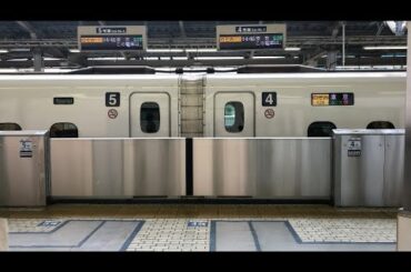 【乙女の祈り】 新横浜駅ホームドア【JR東海道新幹線】