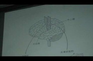 井穴刺絡⑱ 井穴刺絡⑱