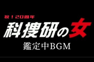 科捜研の女鑑定中bgm