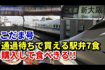 【大食い】東海道新幹線こだま号の停車時間で買える駅弁を制覇【7食】