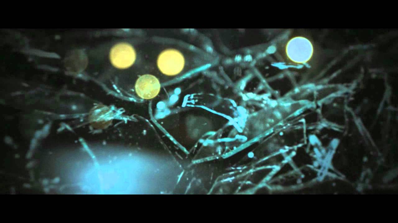 ただ君だけ 特別予告編 ただ君だけ 特別予告編