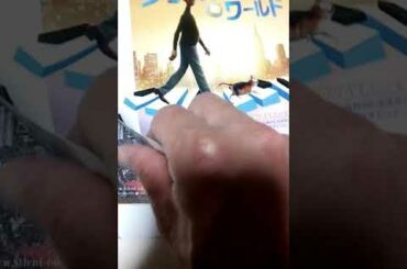 映画のチラシもらってきました！銀魂、イエスかノーか半分か、ソウルフルワールド、サイレント・トーキョー、フード・ラック、泣く子はいねぇが、大綱引きの恋、魔女見習いをさがして