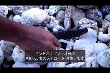スマトラ島の海岸がプラスチックごみだらけに、対策は？　インドネシア