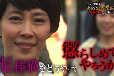 木村佳乃、水野美紀らが衝撃せりふ連発！　ドラマ「あなたには渡さない」特別映像が公開