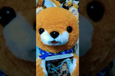 豆助のご本紹介「鬼滅の刃２２巻」