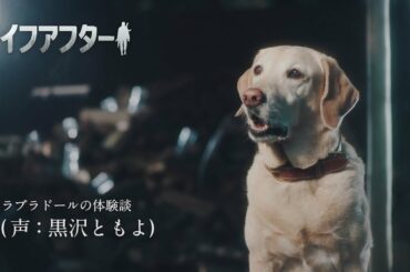 【豪華声優が犬に!?】井上和彦・森久保祥太郎・黒沢ともよ／「ライフアフター 」WEBCM＆メイキング【ゾンビメイク】