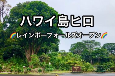 ハワイ島ヒロ　レインボーフォールズオープン【 Rainbow falls 】Hilo Bigisland Hawaii ハワイ島！ハワイアンキルト Vlog 動画ブログ 2020年8 月