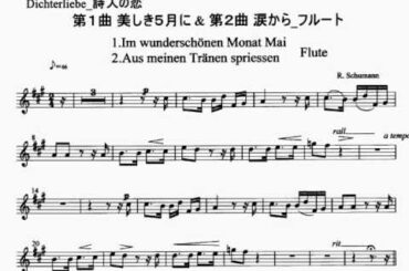 MWOFL Dichterliebe Nr 1 2 10 Schumann 詩人の恋 伴奏