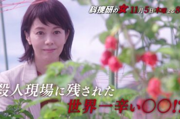木曜ミステリー『科捜研の女』11月5日（木）よる8:00放送／第3話　予告動画（30秒）