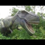 かつやまディノパーク - Tyrannosaurus(ティラノサウルス)