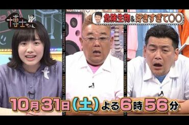 【サンドウィッチマン&芦田愛菜の博士ちゃん】2020年10月31日（土）放送！