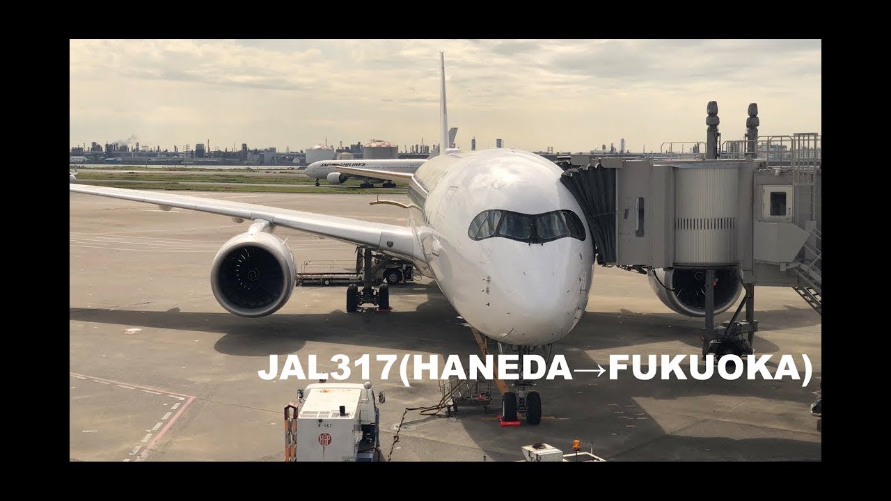 [マニア向け] 羽田空港 D滑走路からの離陸  JAL317便 (エアバス A350-900)