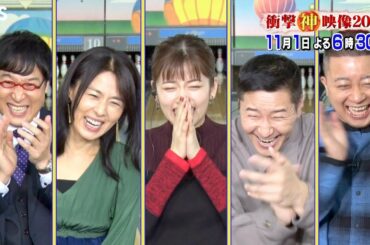 『衝撃“神”映像2020』11/1(日) キュートな動物に癒され天才キッズ＆動物の凄技で驚愕…!!【TBS】