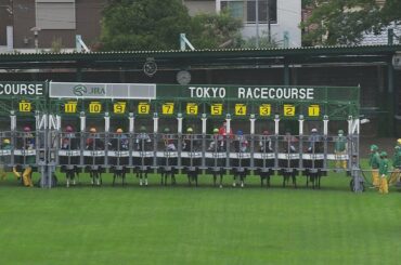 2020 天皇賞（秋）