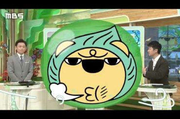 【１１月３日（火）の天気予報】「文化の日」は冷たい風が　お出かけには上着を忘れずに【近畿地方】