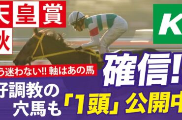 天皇賞秋 2020 【予想】やはり軸はあの馬！更に「確信の好調教馬」も公開！
