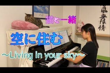 三代目J Soul brothers from EXILE TRIBE『空に住む　〜Living in your sky〜』  ピアノ〜猫と一緒〜