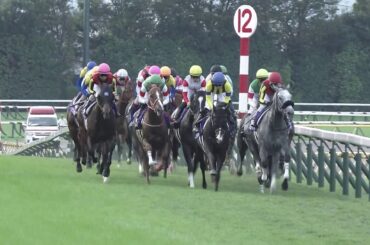 2019 天皇賞（秋）