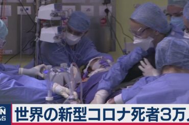 世界の新型コロナ死者３万人