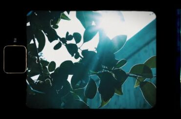 ドルチェ＆ガッバーナ ビューティ「ライトブルー」ムービー第2弾