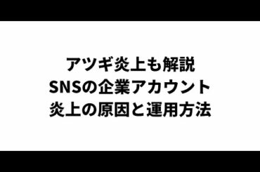 アツギ炎上も解説SNSの企業アカウント炎上の原因と運用方法