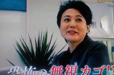 七人の秘書今夜9時