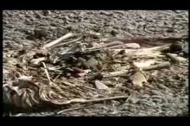 Synthetic Sea （合成の海　～海に漂うプラスチック～）日本語字幕