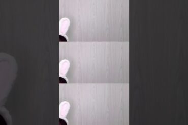 20201031 遠藤さくら 賀喜遥香 田村真佑 乃木坂46 Tiktok