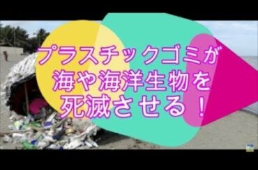 プラスチックゴミが海や海洋生物を死滅させる！(2018.08.28)