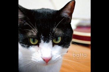 batta - 天気予報 (Weather Report/Reporte del Clima) - (CD Version)